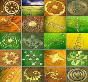 cropcircles pic