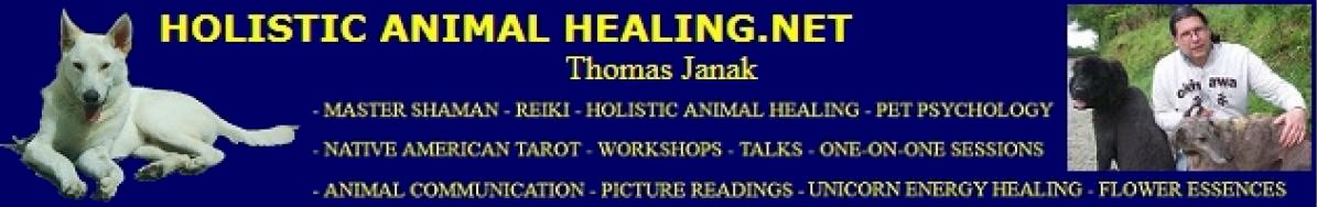 Thomas Janak - The experience of working with animals has changed my views on the world and every minute with an animal is a true blessing. Holistic Animal Healing.net